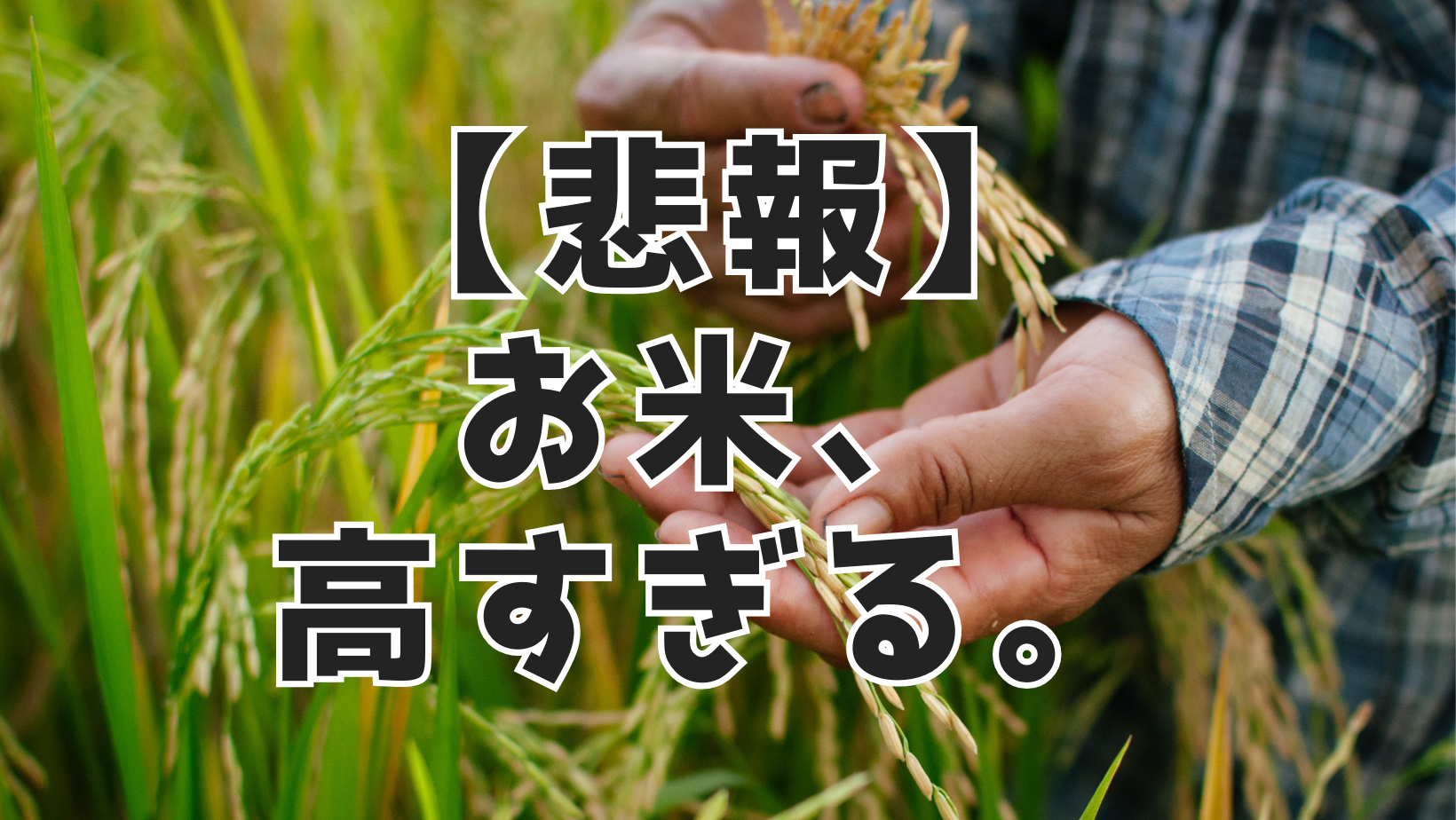 お米高すぎる