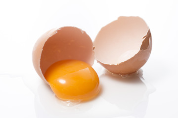 egg_56254357.jpg