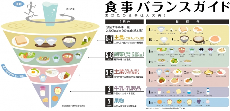 japanese food guide spinning top-1.jpg