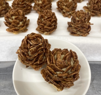 食べられる松ぼっくり