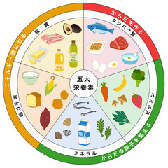 three-color food classification.jpg